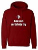 Hoodie You Can Certainly Try Dnd Medium Red Hooded Sweatshirt